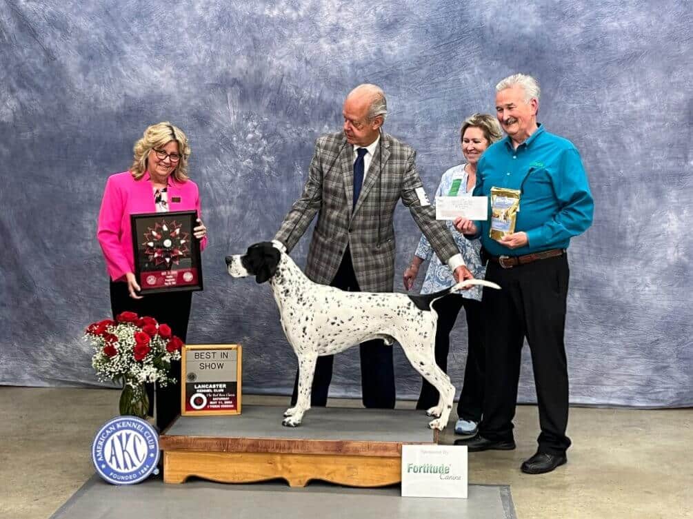 Best in Show - Pointer - GCH Tahari N Clearcreek Spirit In The Night Left to Right - Judge - Ms. Deirdre Petrie, Handler - Frank DePaulo, Show Chair - CathyAnn Litwin, DBC AG Products Director, Sales and Marketing, David Mathes