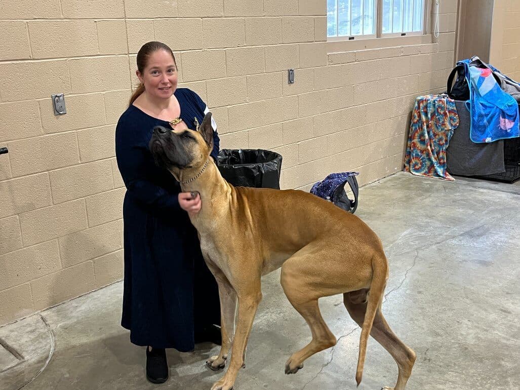 80th Annual Red Rose Classic All Breed Dog Shows and Rally Trials