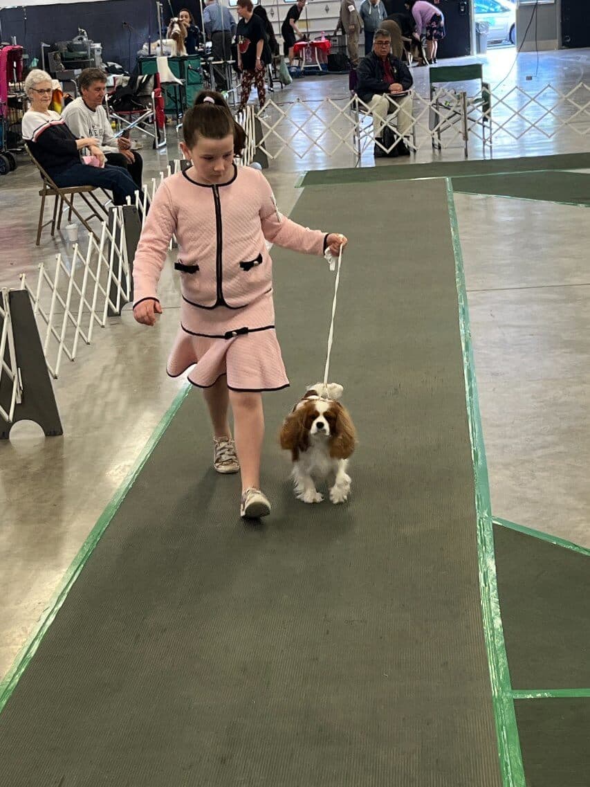 80th Annual Red Rose Classic All Breed Dog Shows and Rally Trials