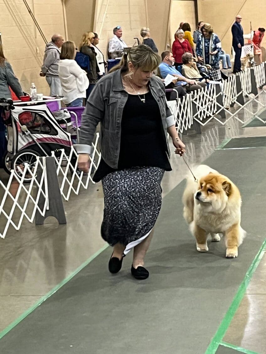 80th Annual Red Rose Classic All Breed Dog Shows and Rally Trials