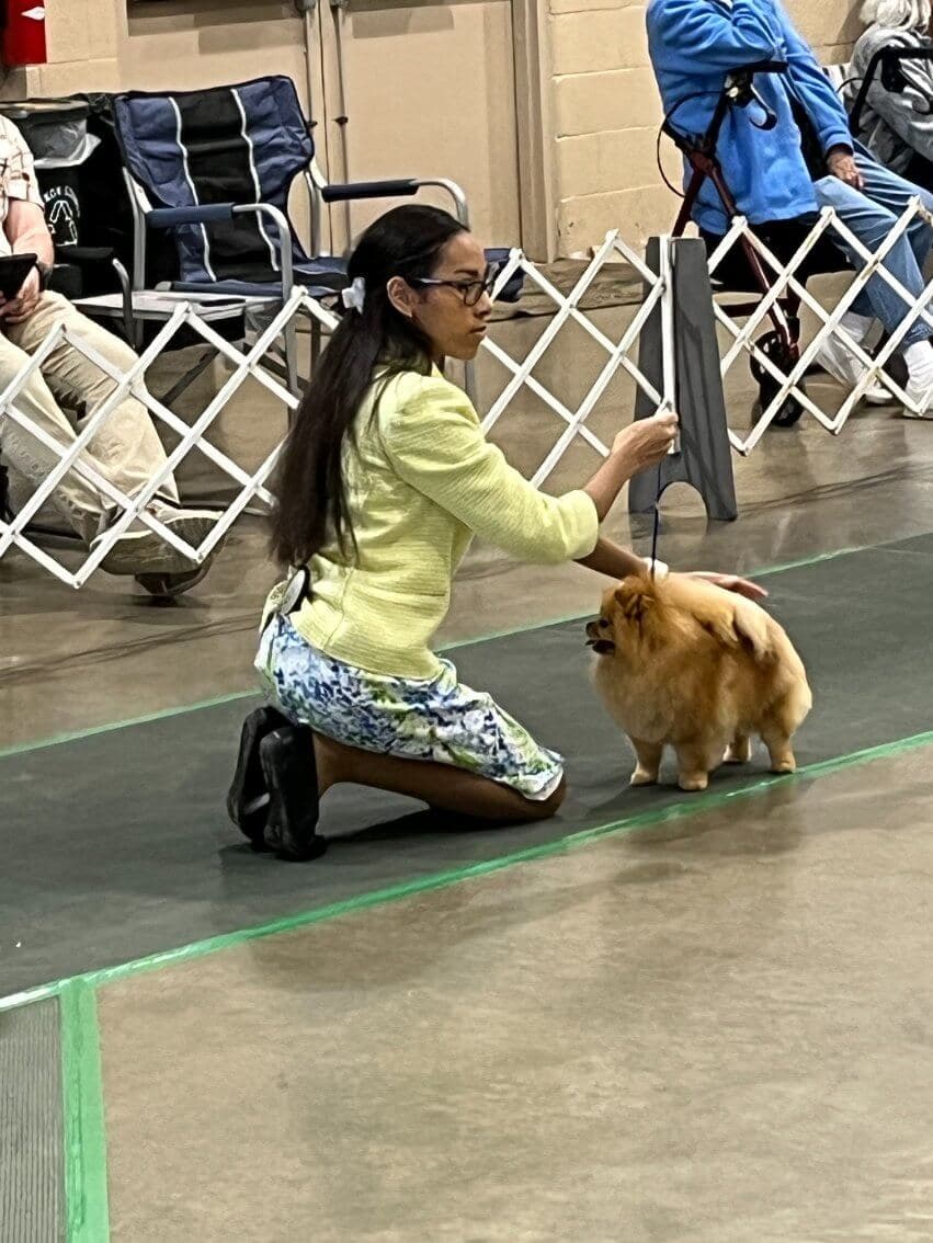 80th Annual Red Rose Classic All Breed Dog Shows and Rally Trials