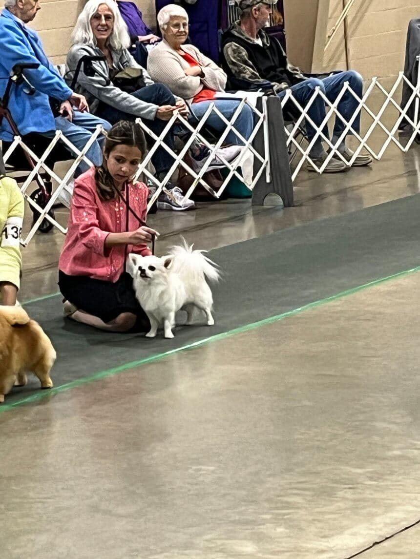 80th Annual Red Rose Classic All Breed Dog Shows and Rally Trials