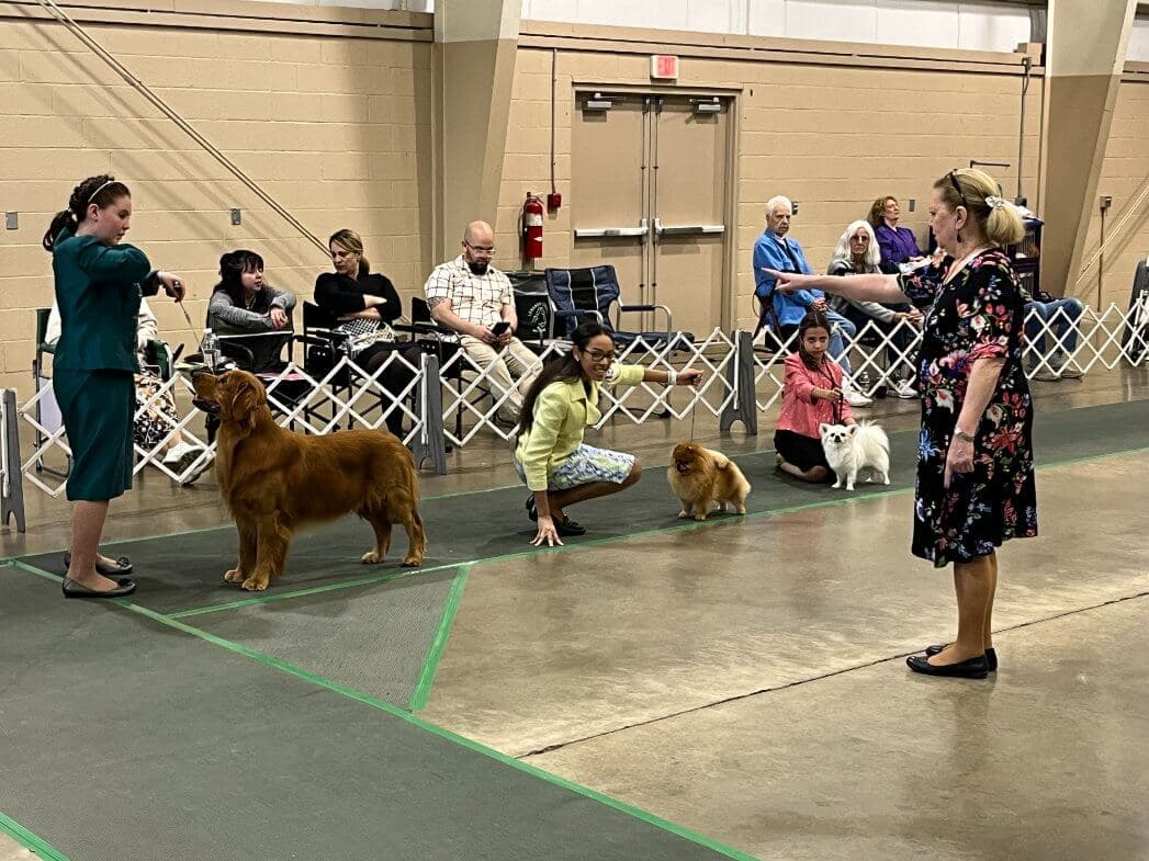 80th Annual Red Rose Classic All Breed Dog Shows and Rally Trials