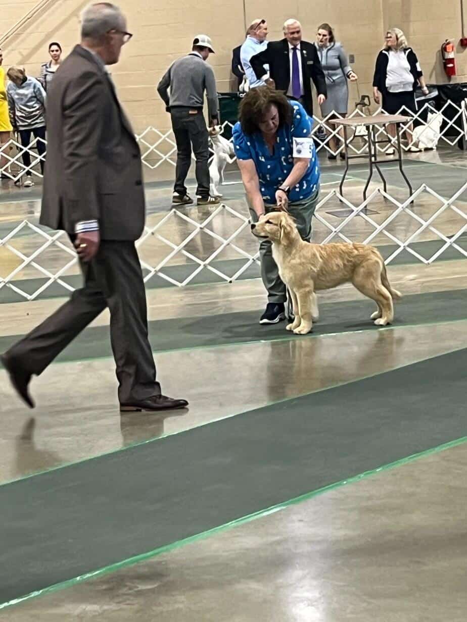 80th Annual Red Rose Classic All Breed Dog Shows and Rally Trials