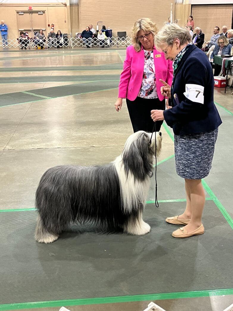80th Annual Red Rose Classic All Breed Dog Shows and Rally Trials