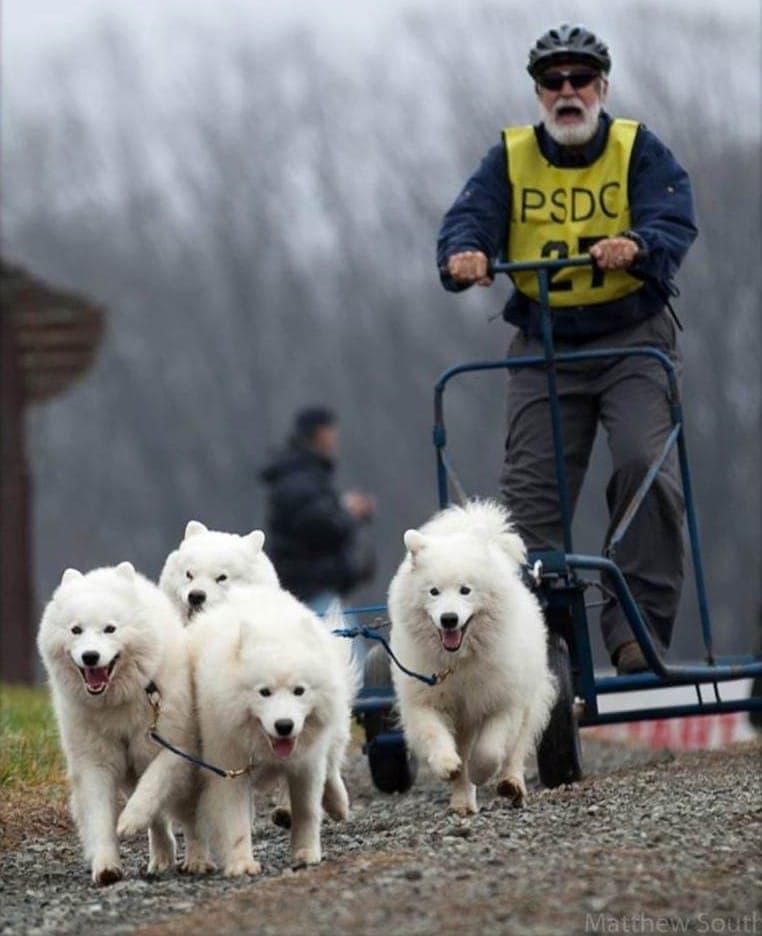 Carting