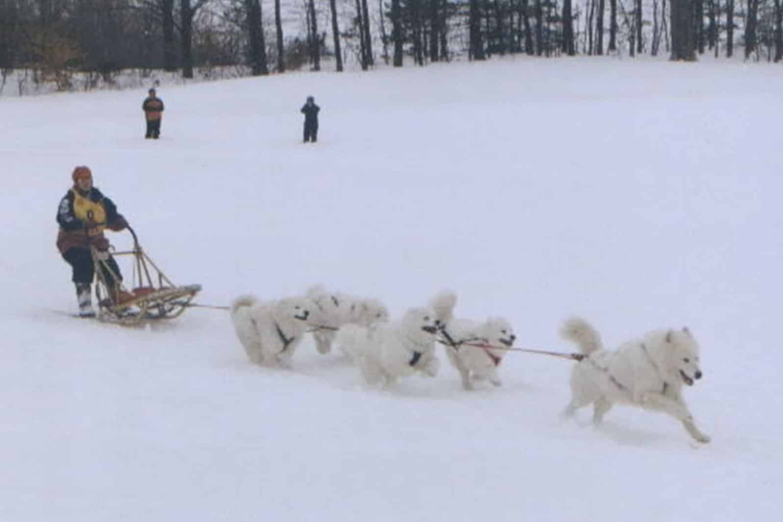 Competitive Sledding