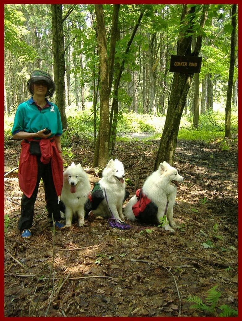 Pack Hiking