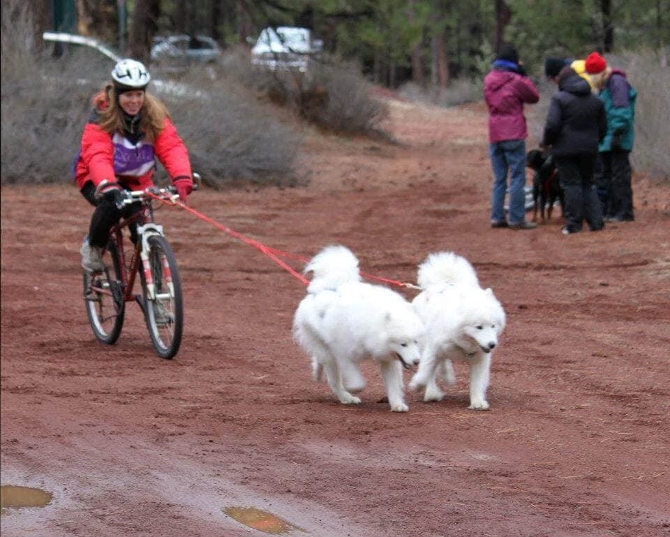 Scootering