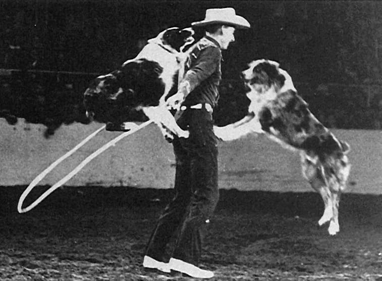 Stub, Shorty and Jay Sisler jump rope at the National Western Stockdog Show, Denver, 1954.