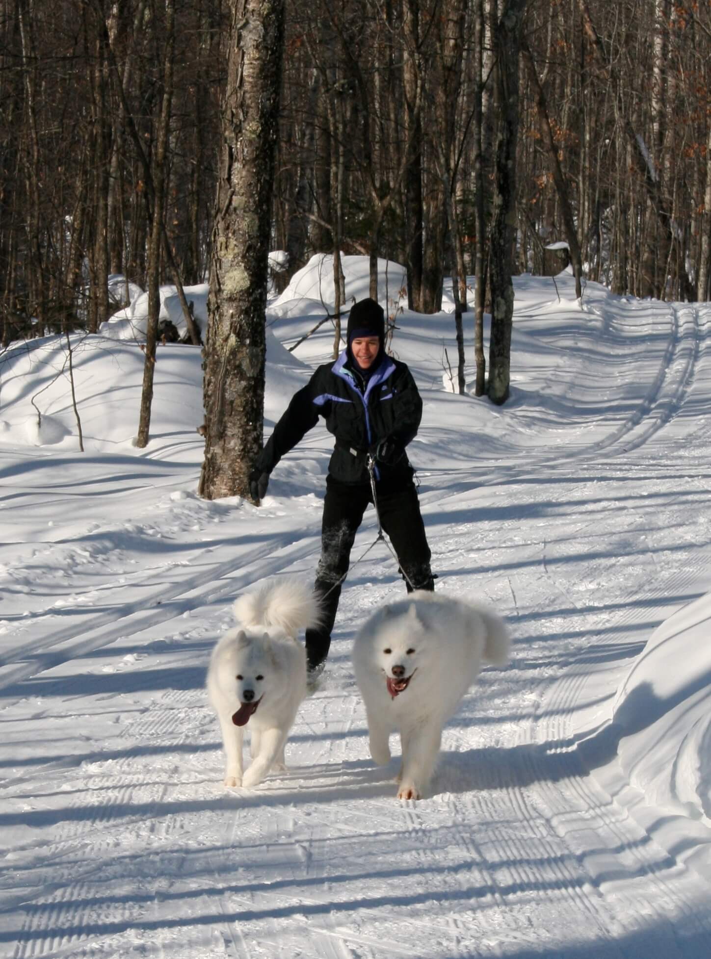 Skijoring
