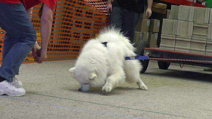 Weight pulling