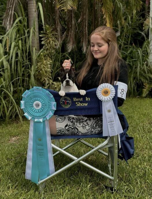 12: Jupiter Tequesta Dog Club Dog Show “Paw Prints In The Sand”, July 12-14, 2024, West Palm Beach, FL