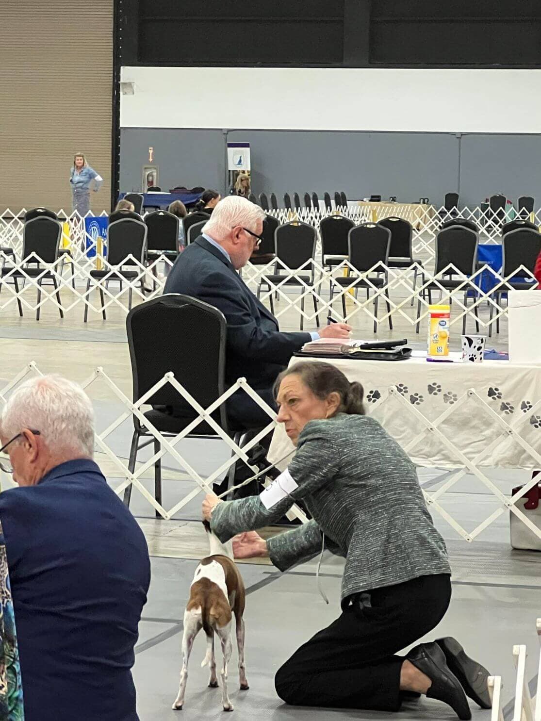 16: Jupiter Tequesta Dog Club Dog Show “Paw Prints In The Sand”, July 12-14, 2024, West Palm Beach, FL