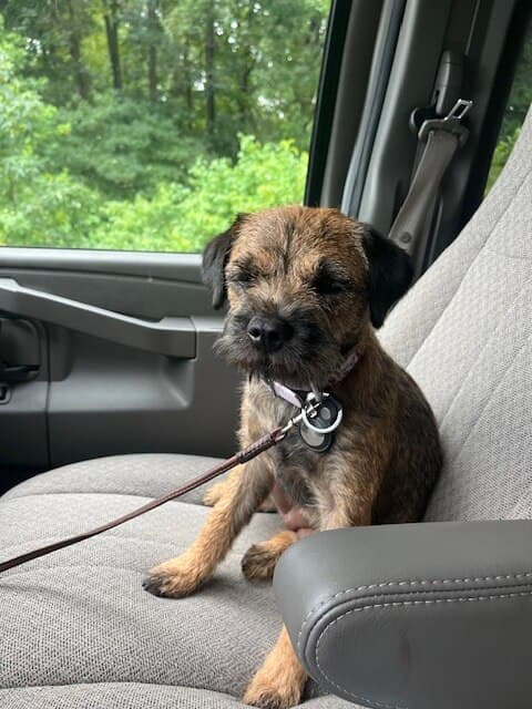 image7