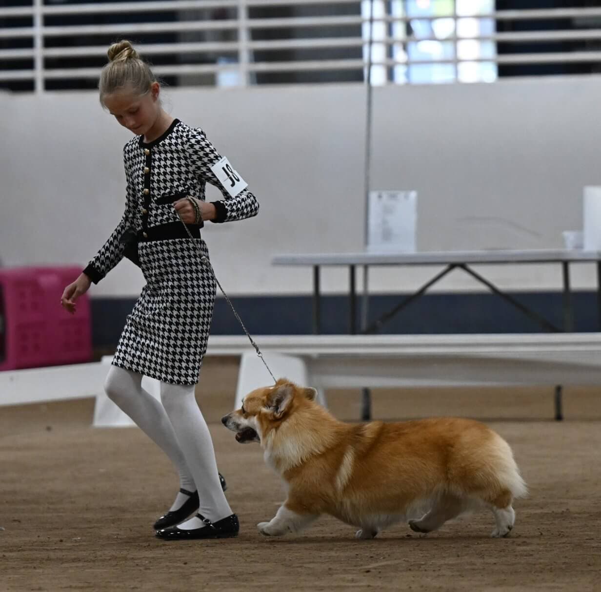 DSC_2263a
