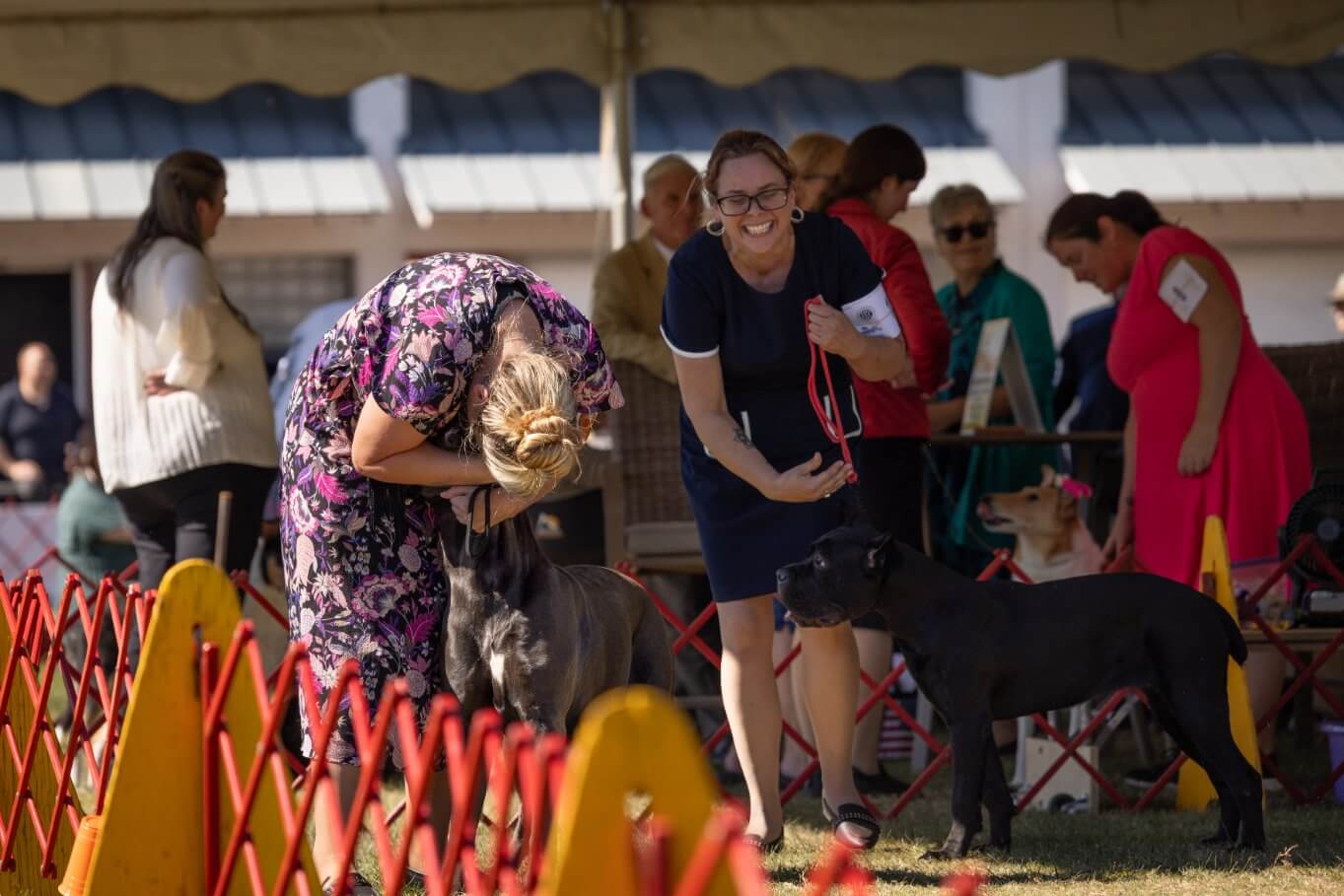 Hanover Kennel Club (10)
