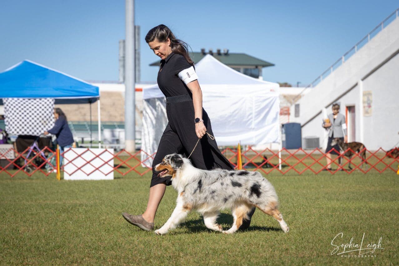 Hanover Kennel Club (13)