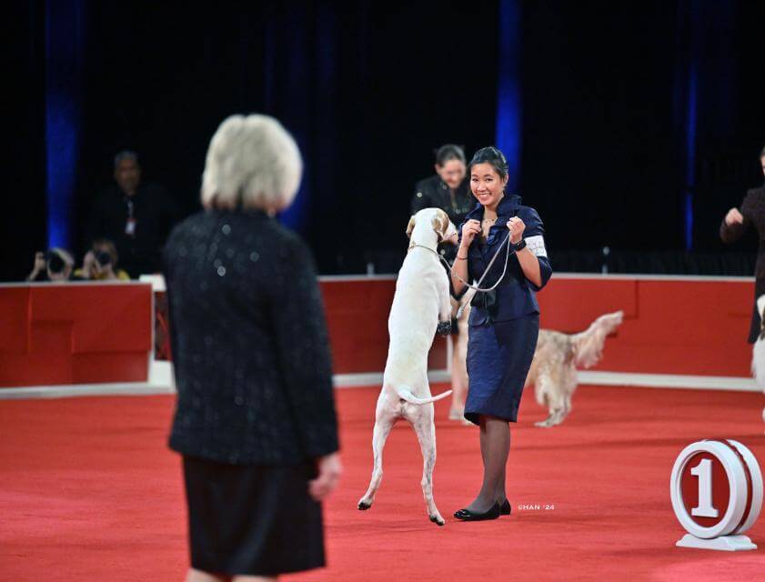 Lila Holberg at the 2024 AKC National Championship