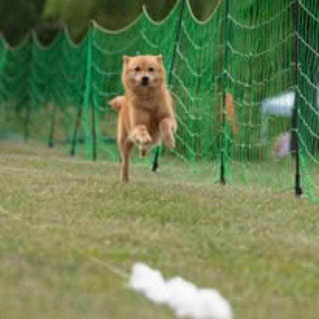 Leena at an FCAT Trial at the start line