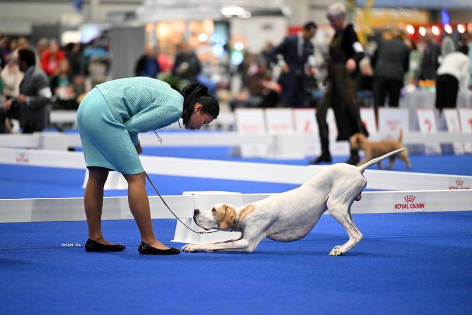 Lila Holberg at the 2024 AKC National Championship