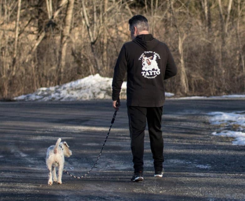 Walking away... Team Tayto discussing strategies after a fun epic run at Dream Dogs Training Center, Saugerties, New York, February 2025. photo by Bill Reyna