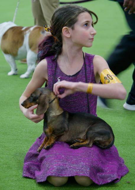 Raven holding her three-week-old Silken Windhound puppy. photo by Leigh Klatzky Alexande