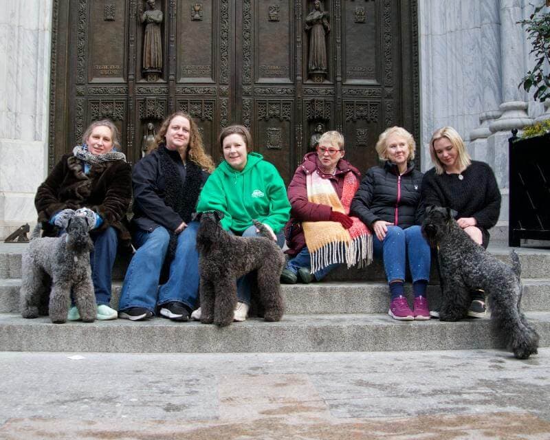 Enjoying the day on the steps of historic St Patrick’s Cathedral are the beautiful Kerries and their owners and breeders: (L to R) Misty Gieczys IGMS PTI and herKerry CH Black Sails Your Fate Has Arrived (Anubis) of Kraken Kerry Blue Terriers; Fran Thomas, Pomeranian Owner-Handler; Cynthia DeGroote with her Kerry CH Goodfellas Small Bills (Jinx); Tracy Campanella, Breeder/Owner-Handler of Goodfellas Kerry Blue Terriers; Cheryl Stanczyk, Breeder/Owner-Handler of Rocky Mountain Kerry Blue Terriers; and Mia Phillips with CH Goodfellas Big Earner (Earnie). photo by Margaret Foxmoore