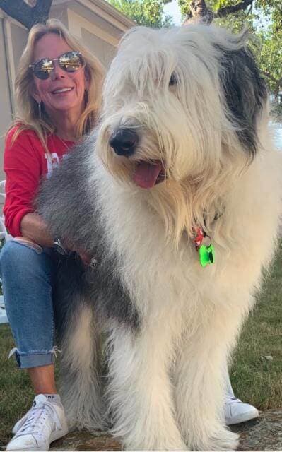 Allison LaField and Old English Sheepdog