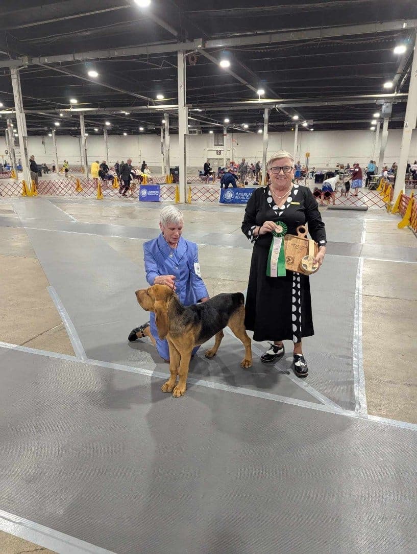 SH14BPUPBIS