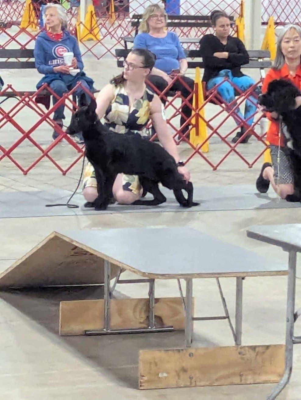 SHBPUP1