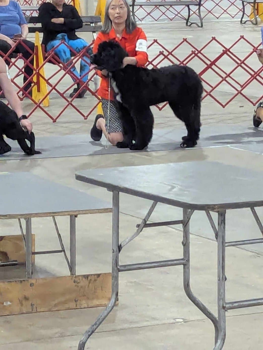 SHBPUP2
