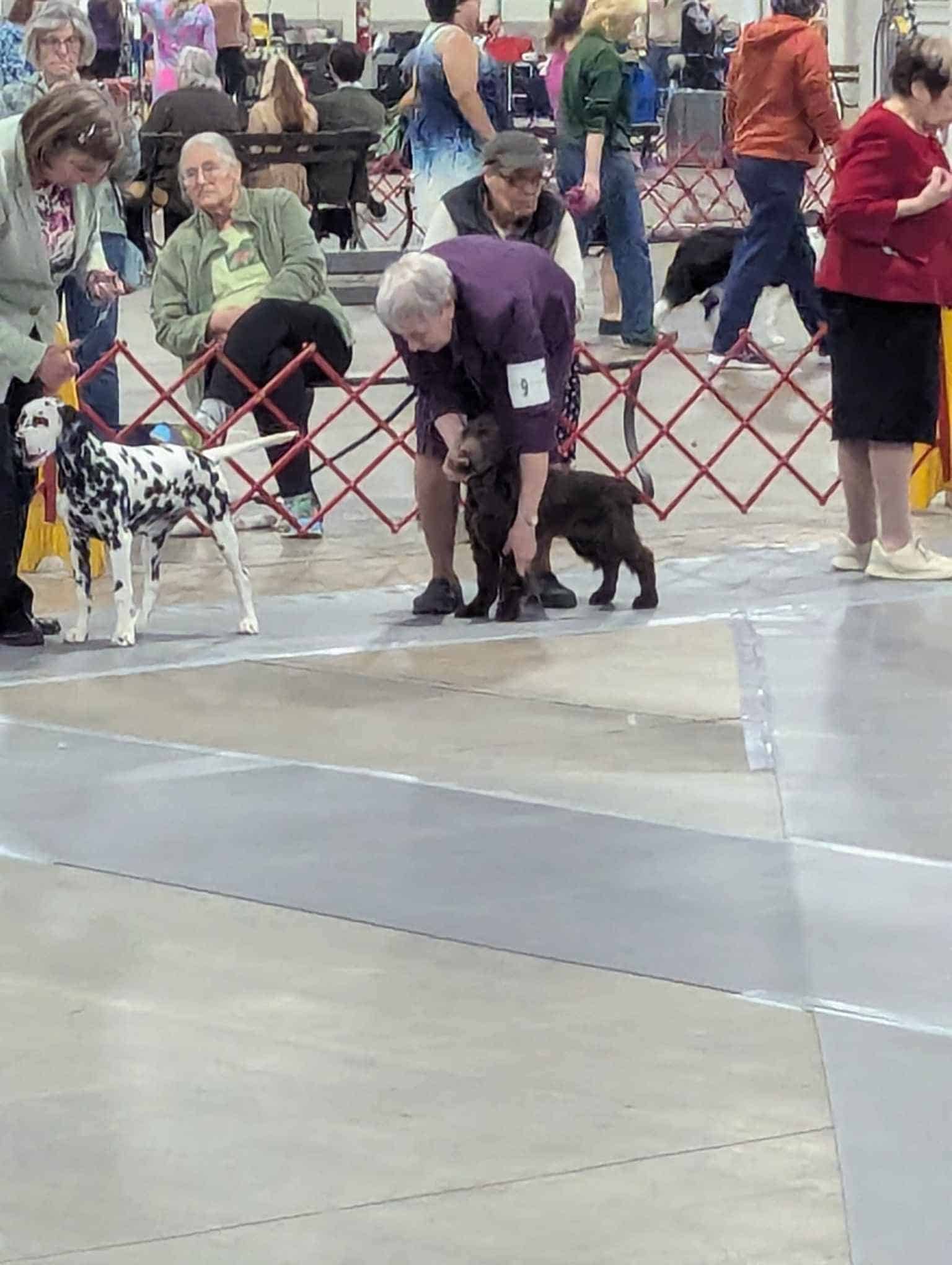 SHBPUP5