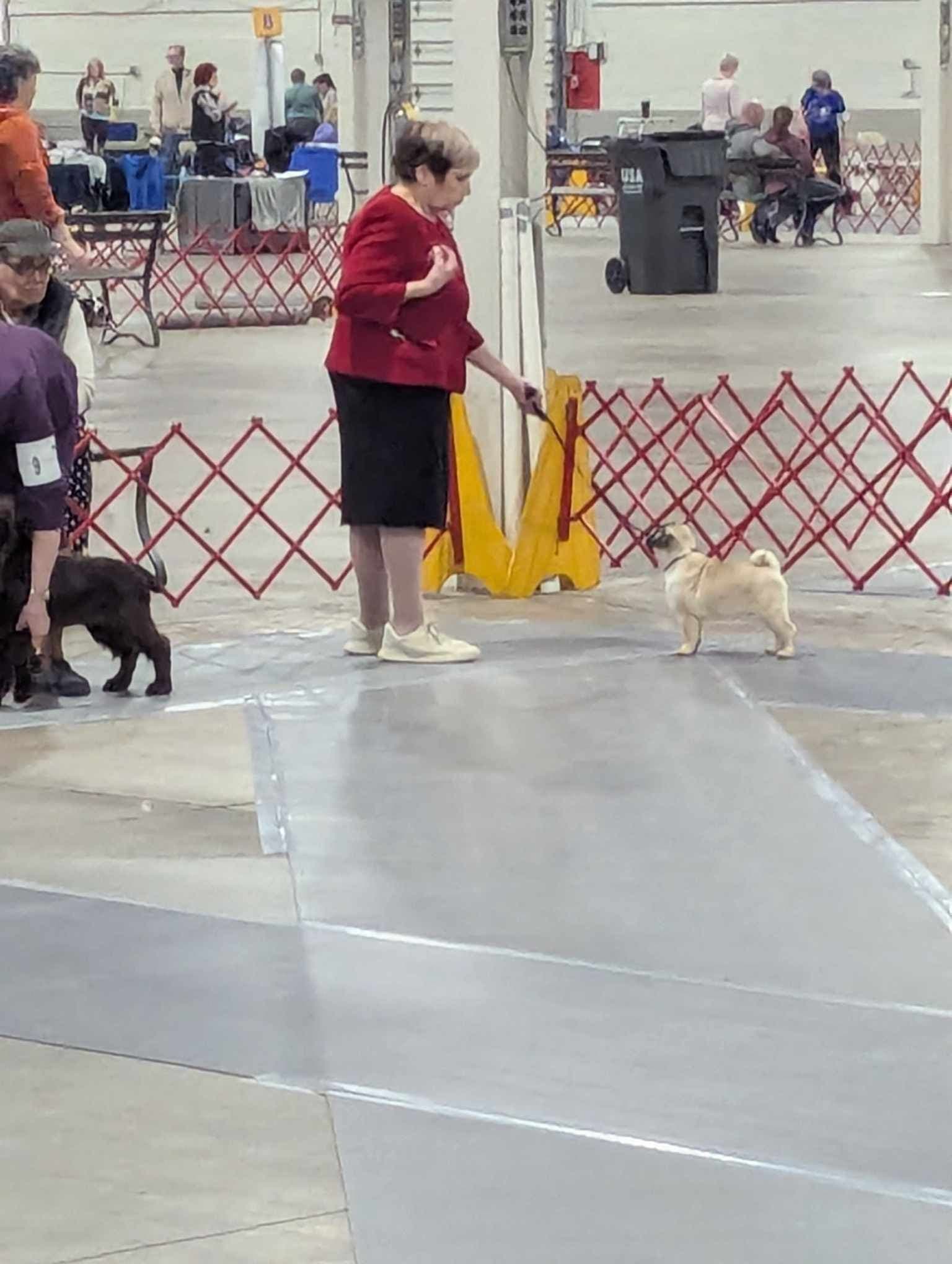 SHBPUP6
