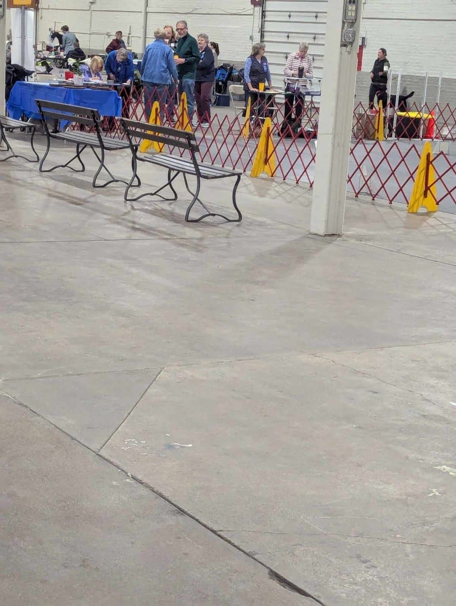 SHRally1