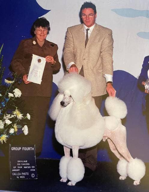 Poodle