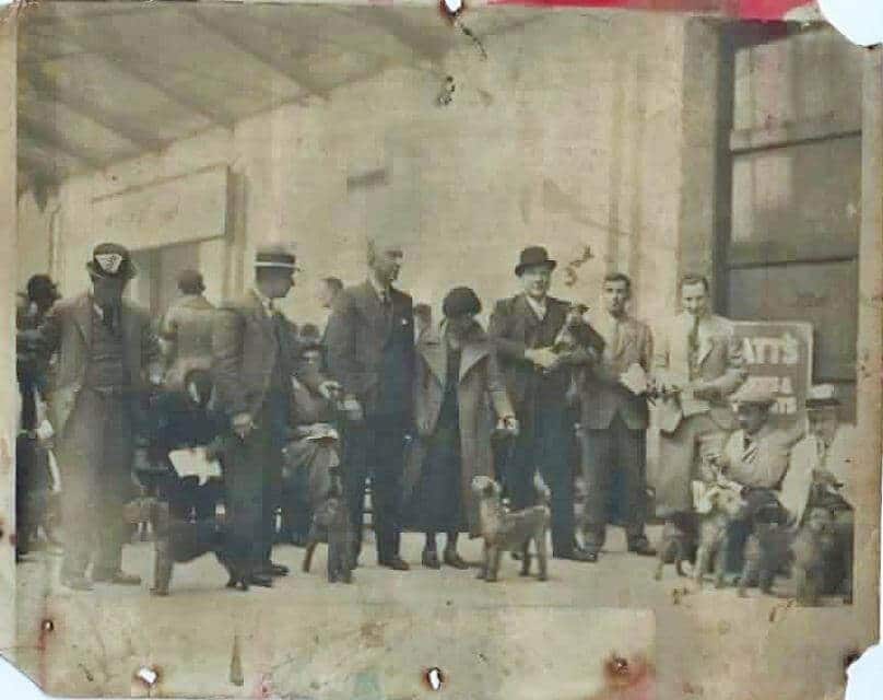 Crufts 1936 (1)