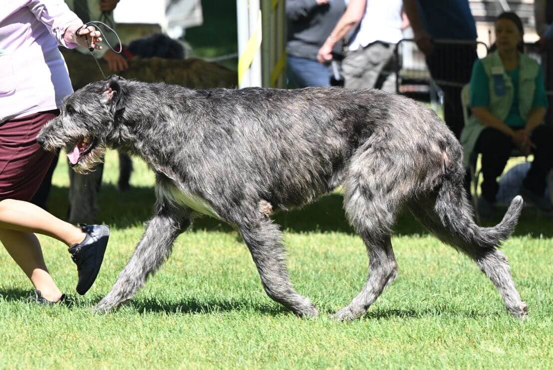 DSC_1842a