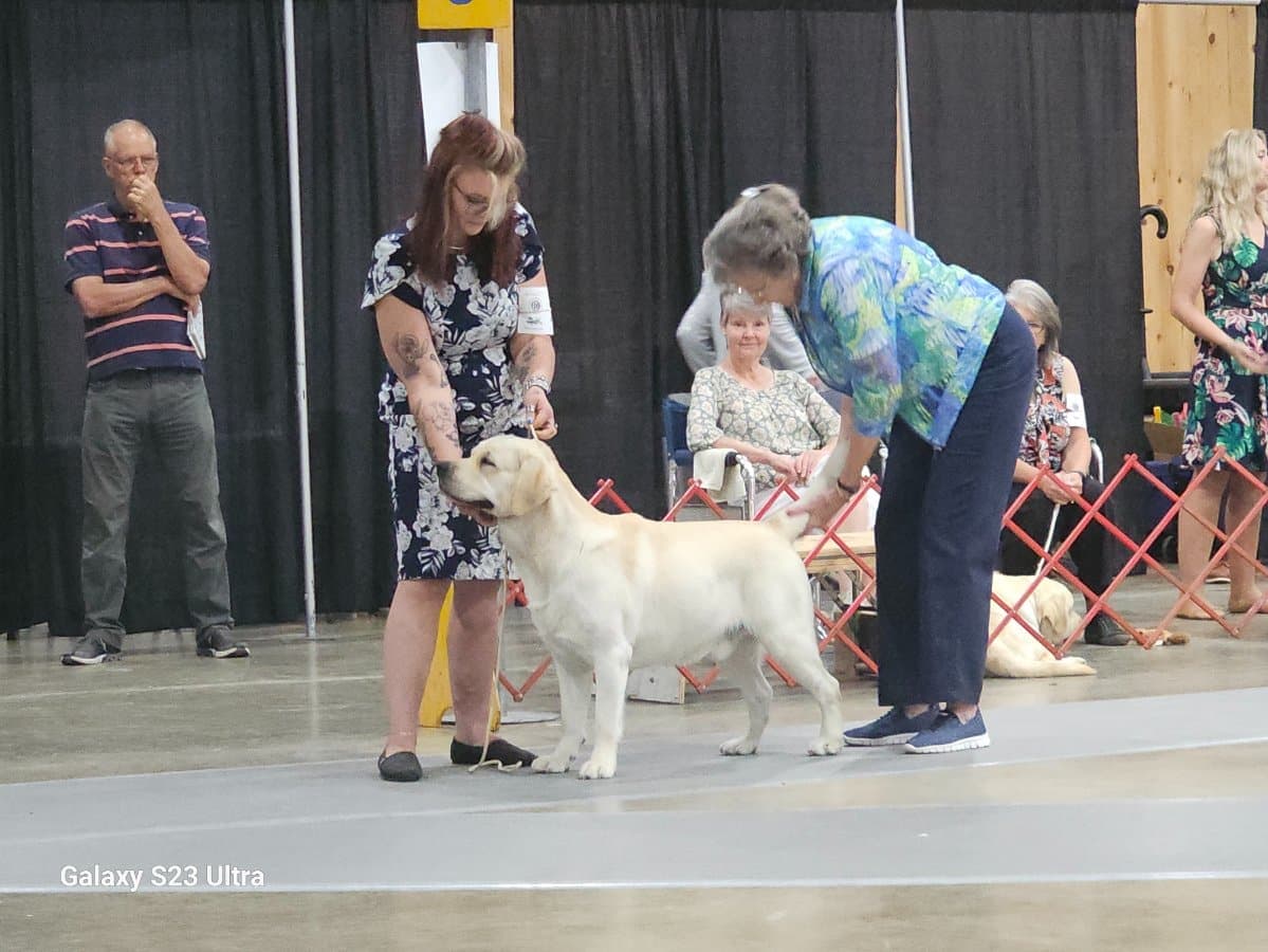 IMG_0871