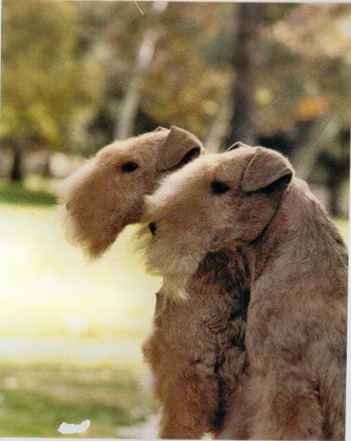 Moxie & Tucker (1)