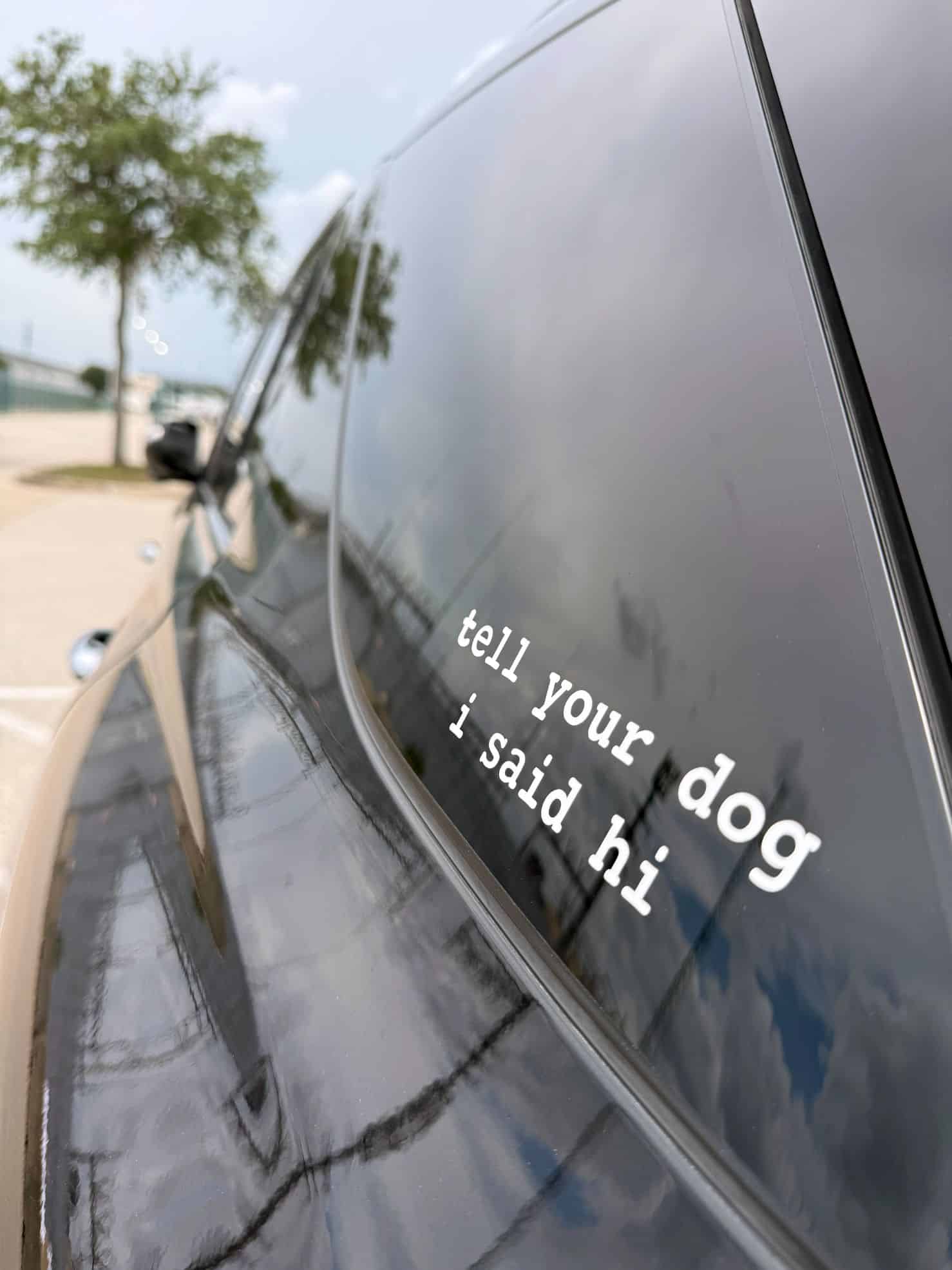 Houston 2025-07-19 14.43.47