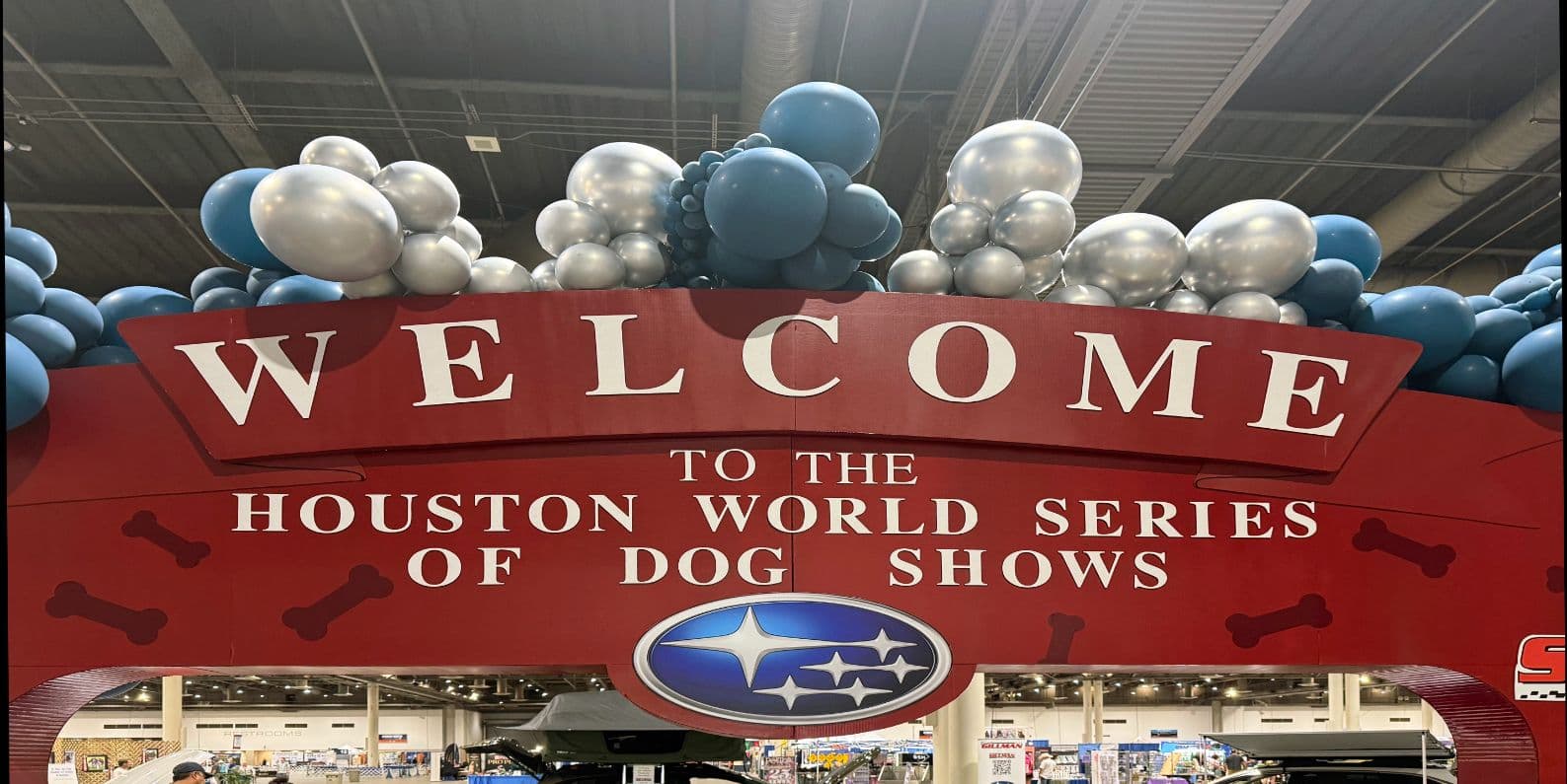 Houston 2025_07-19 16.39.15