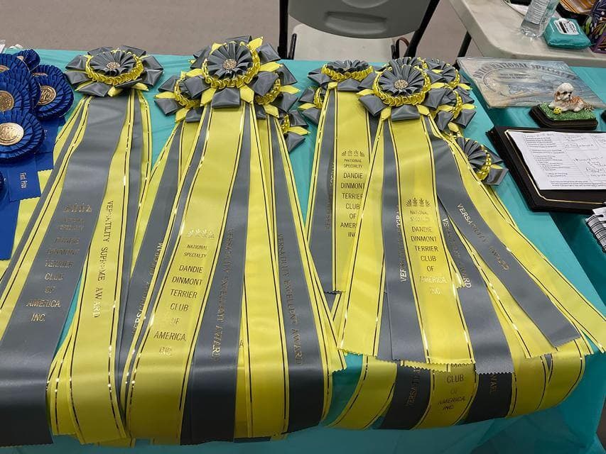 Versatility Program Rosettes 2025, photo by S. Wolfskill
