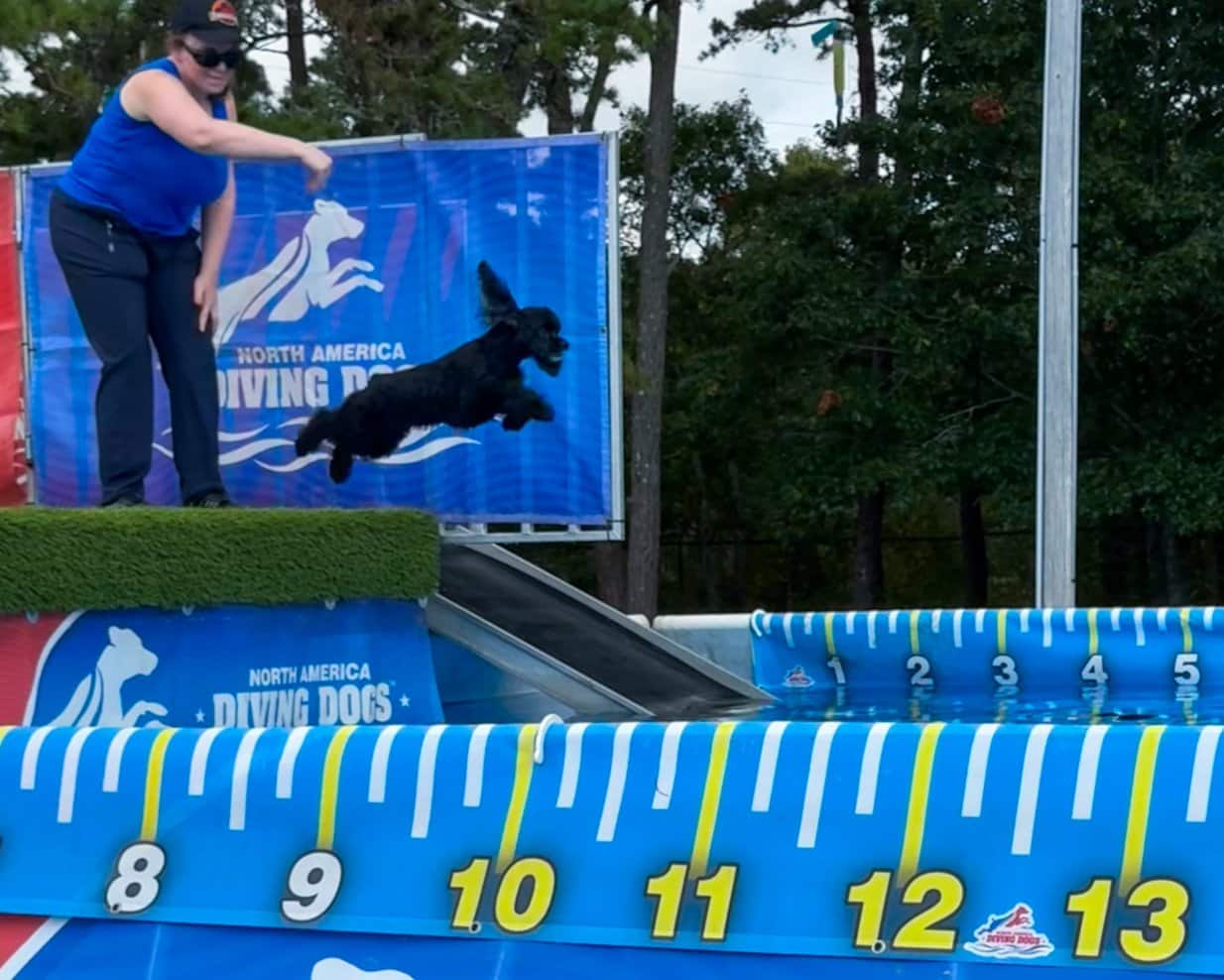 28 Dock Diving