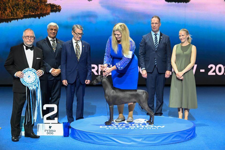 World Dog Show Helsinki 2025