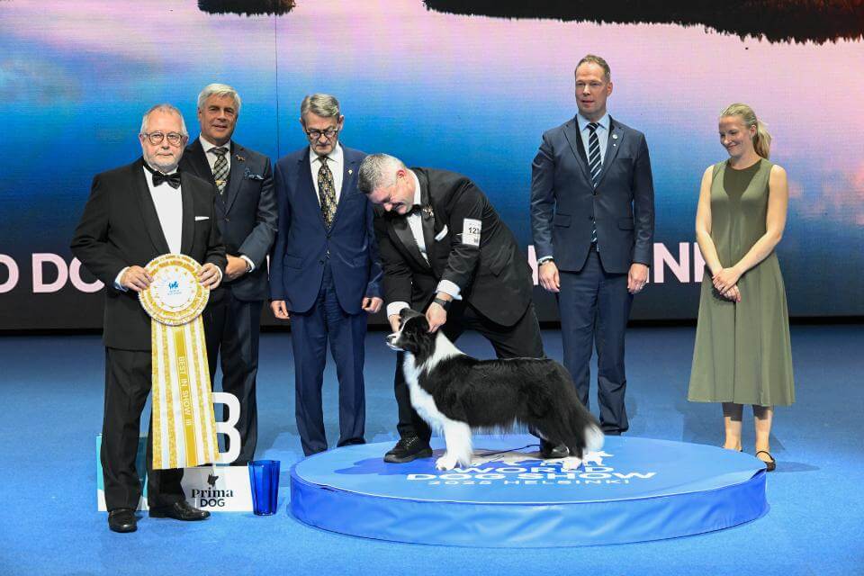 World Dog Show Helsinki 2025