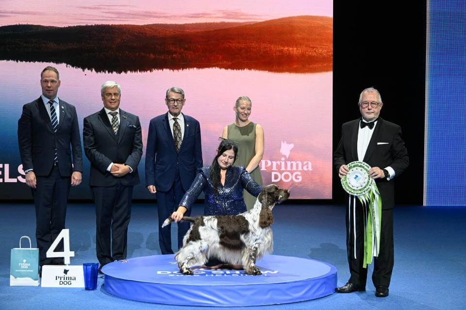 World Dog Show Helsinki 2025