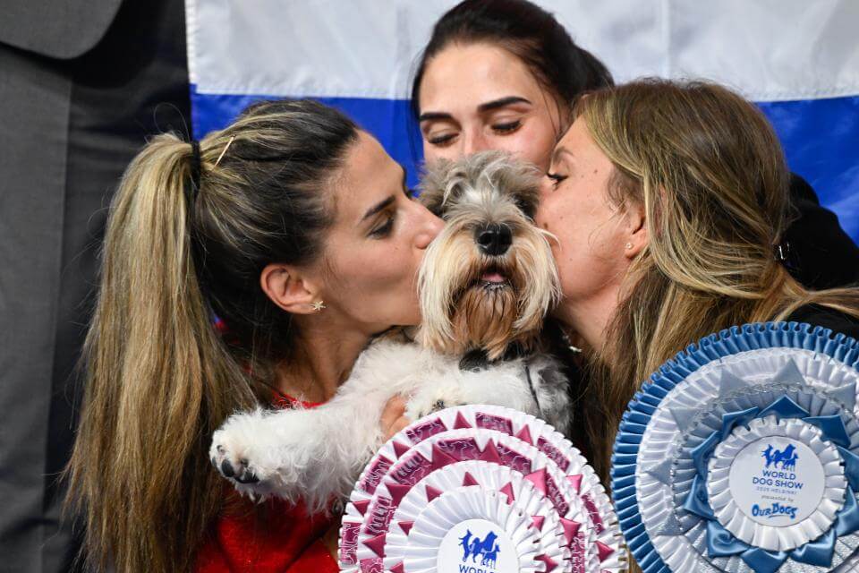 World Dog Show Helsinki 2025