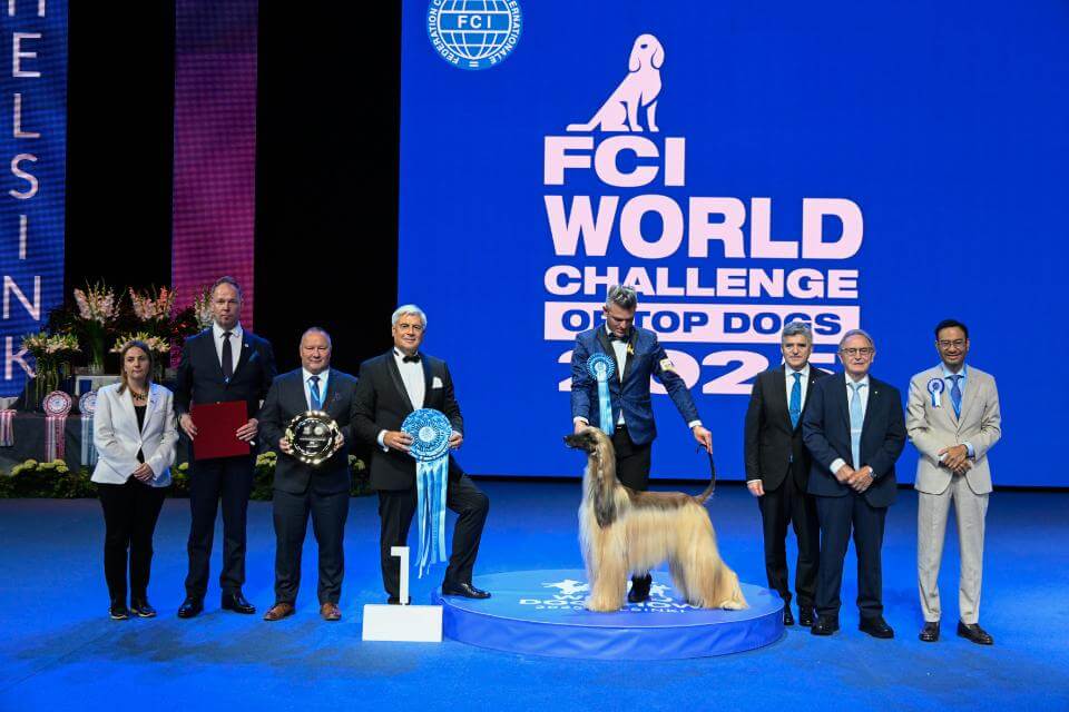 World Dog Show Helsinki 2025