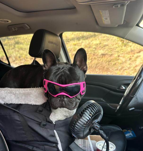Dude wearing his driving goggles.